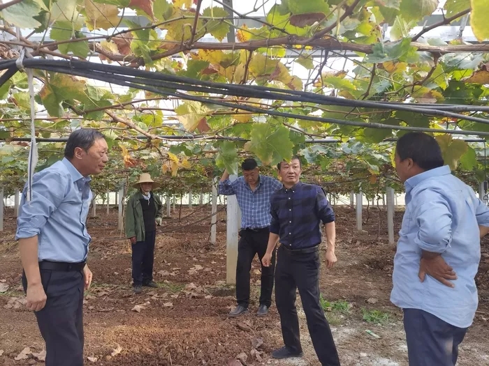 新徽菇公司與金土地農(nóng)業(yè)科技園的戰(zhàn)略合作：共創(chuàng)食用菌產(chǎn)業(yè)新篇章