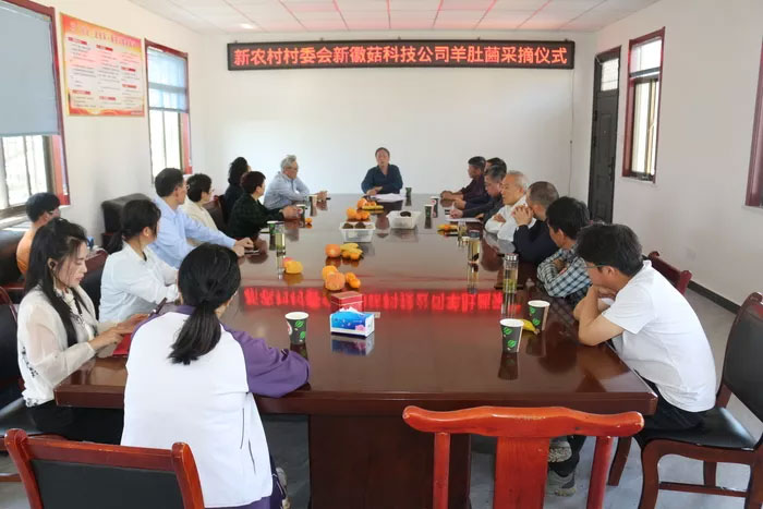 新徽菇2024羊肚菌高質(zhì)高產(chǎn)發(fā)布會(huì)在紫蓬鎮(zhèn)新農(nóng)村基地舉行