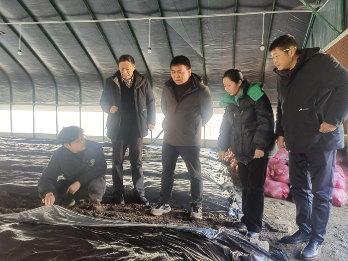 安徽省食用菌技術(shù)協(xié)會專家委員會主任張方江一行深入岳西縣調(diào)研食藥用菌產(chǎn)業(yè)