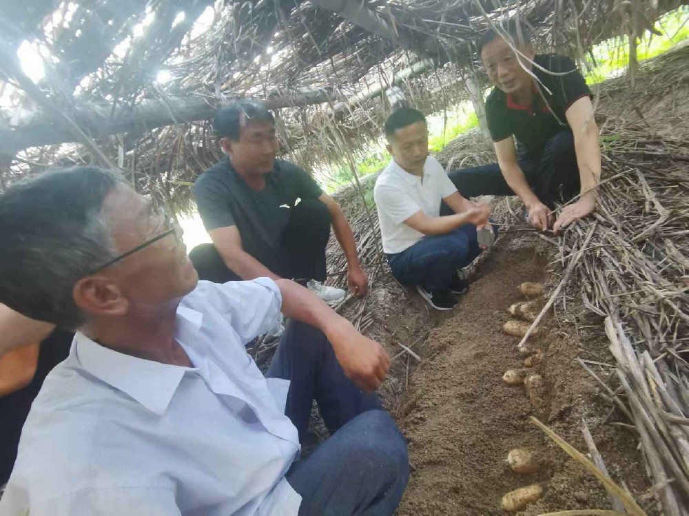 “安徽省科技特派團(tuán)在行動(dòng)” ——岳西縣桑枝食藥用菌省級(jí)科技特派團(tuán)系列活動(dòng)之五