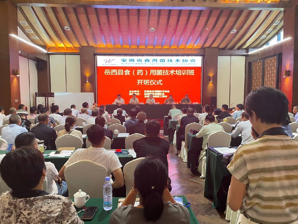 “安徽省科技特派團在行動” ——岳西縣桑枝食藥用菌省級科技特派團系列活動之六