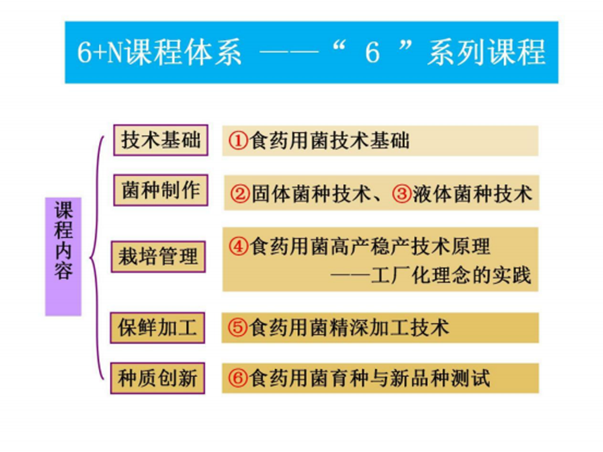 1725157307172408.png 圖片1.png