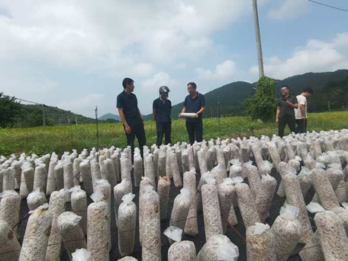 1727614355198019.png image.png