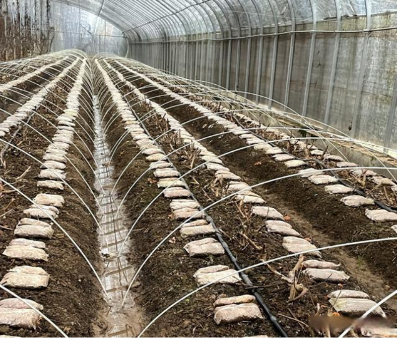 1727614851398693.png image.png