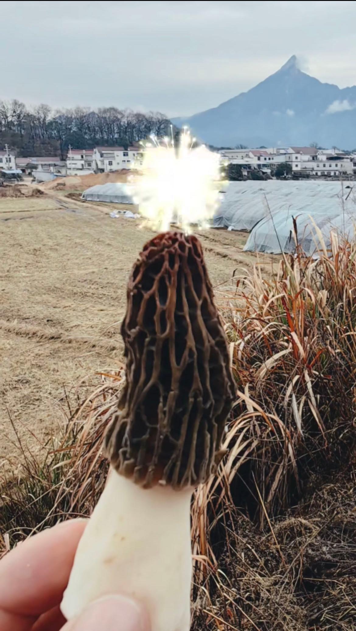 1739105231172095.jpg e751a4c1bdd88de7601cb0431735a30.jpg