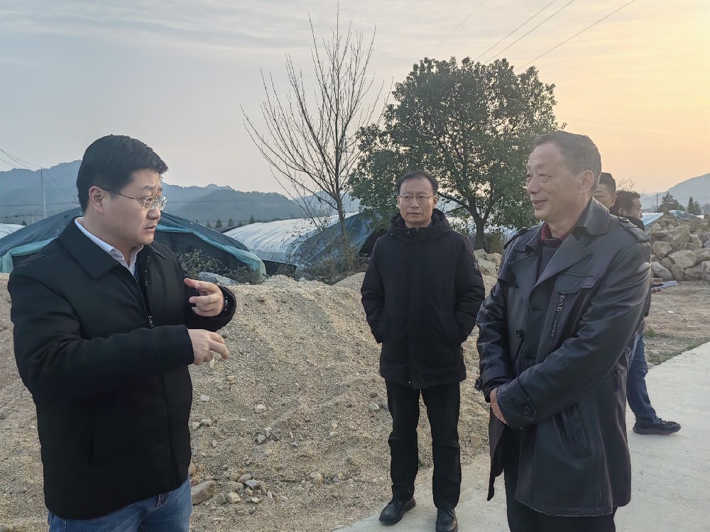 何斌縣長(zhǎng)考察安徽新徽菇岳西菌種廠