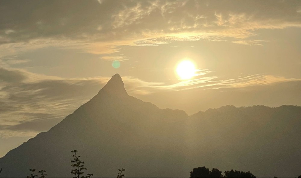 安徽新徽菇苦練內(nèi)功 全員技術(shù)培訓(xùn)